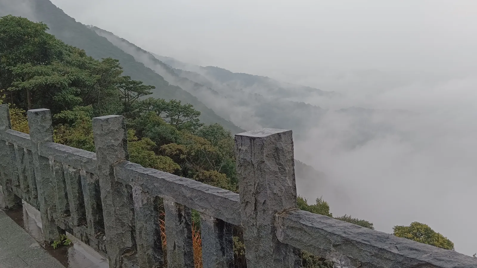 云雾之上.webp